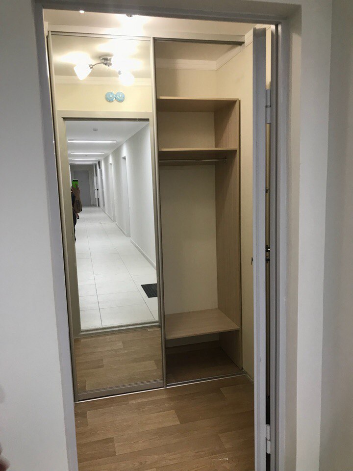 Зеркальный встроенный шкаф купе в коридор 