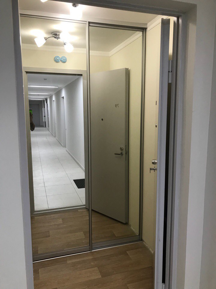 Зеркальный встроенный шкаф купе в коридор 