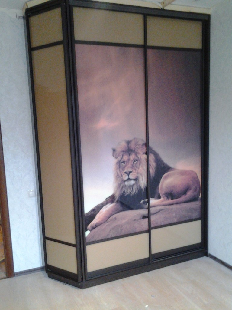 Шкаф купе с фото печатью лев в спальню